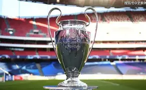 开云APP-欧冠集结日再迎强敌，上海申花迎来里程碑，主帅态度：悬念犹存，轮换策略成焦点的简单介绍